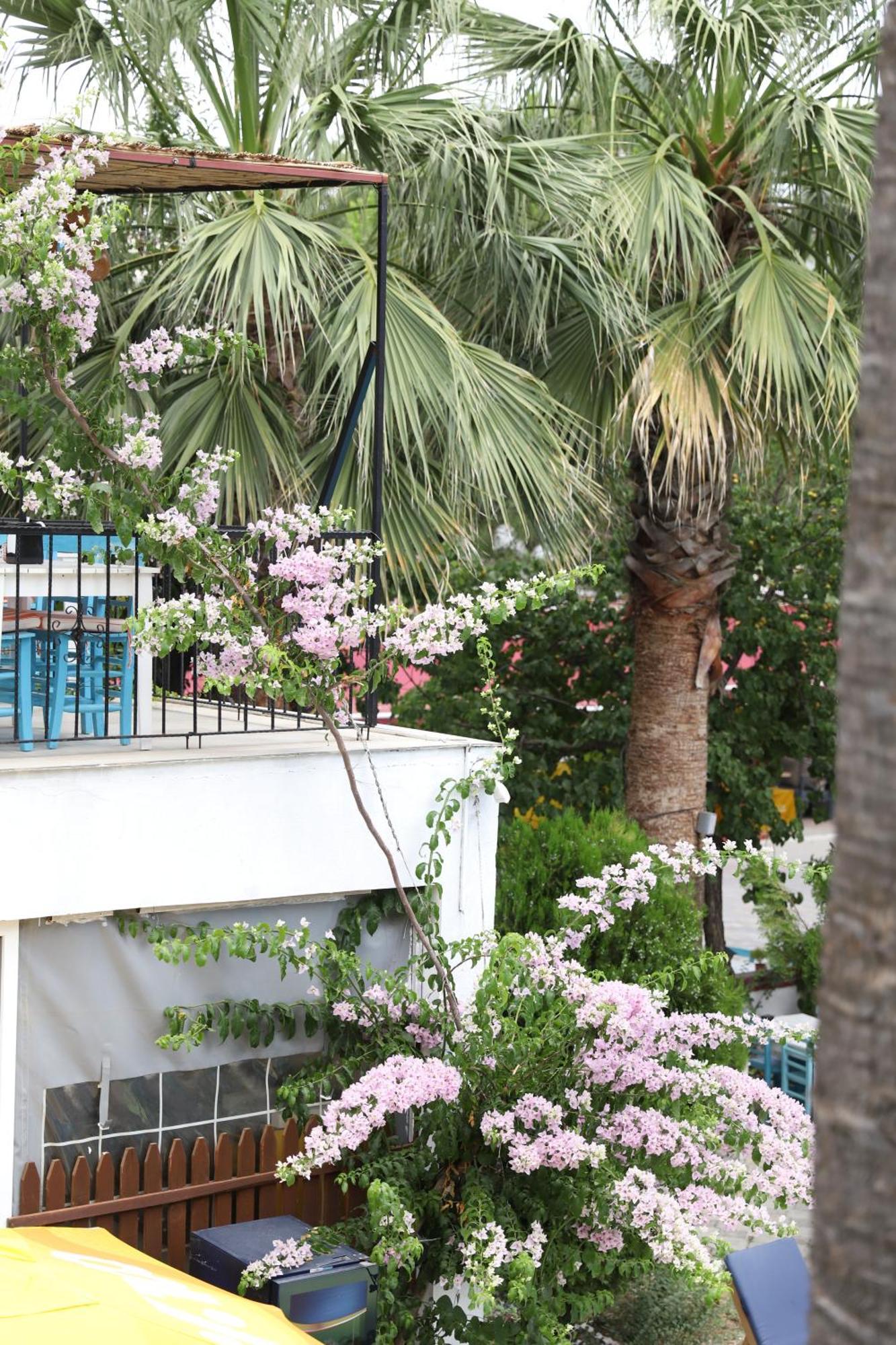 Yeni Doga Hotel Dalyan Luaran gambar